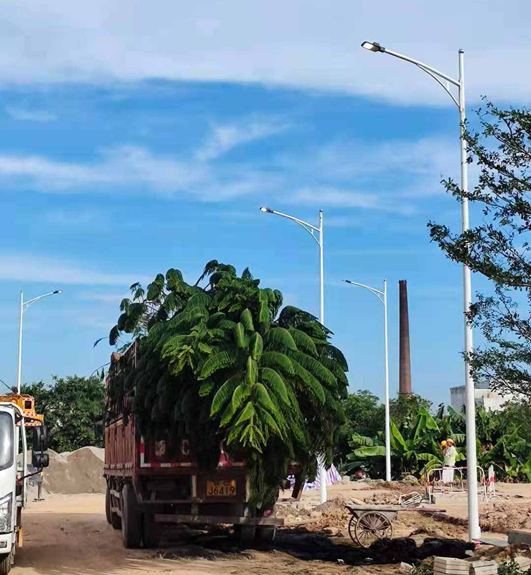 乐竞体育·（中国）手机网页版,助力东莞洪梅万科星城道路亮化工程